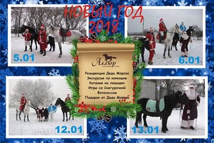Рождественские каникулы 2018 в конном клубе Рождественские каникулы 2018 в конном клубе