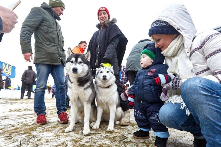 Winter Dog Fest 2018 Winter Dog Fest 2018