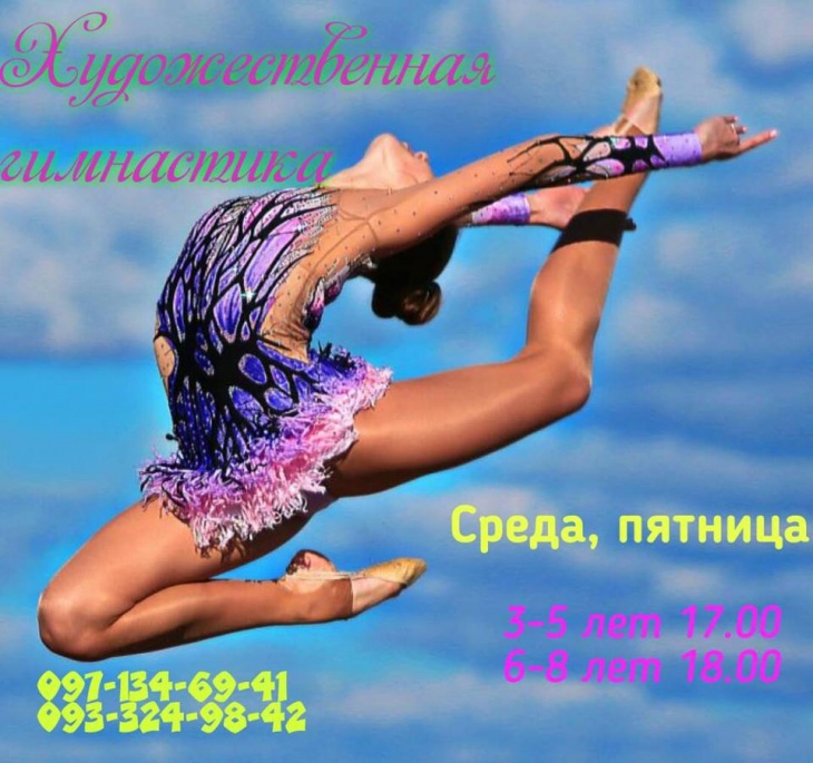 Художественная гимнастика Художественная гимнастика