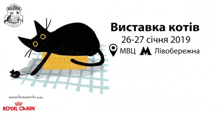Выставка кошек / RUI Cat Show Выставка кошек / RUI Cat Show