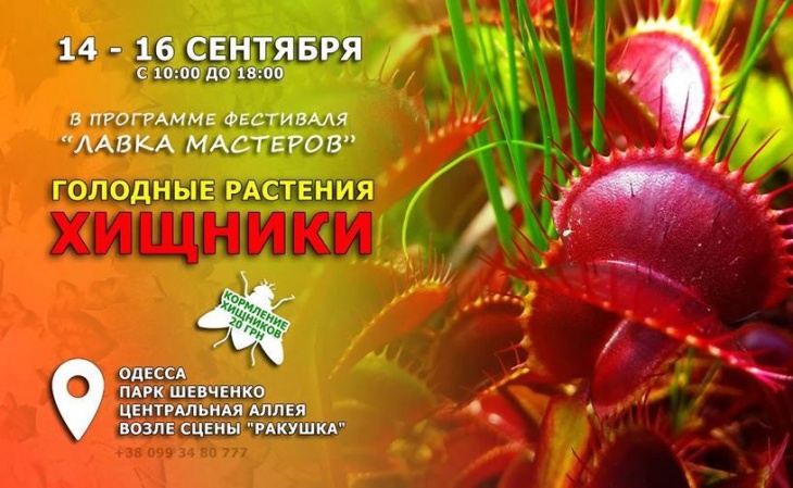 Голодные растения хищники Голодные растения хищники
