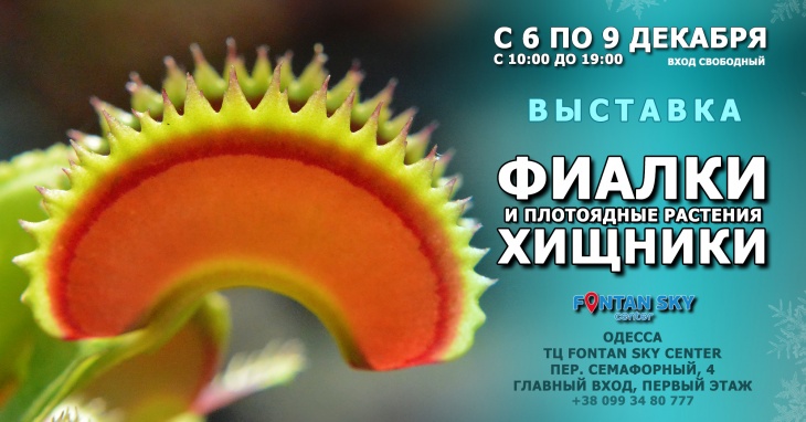 Выставка "Зубастые Хищники и Нежные Фиалки" Выставка "Зубастые Хищники и Нежные Фиалки"