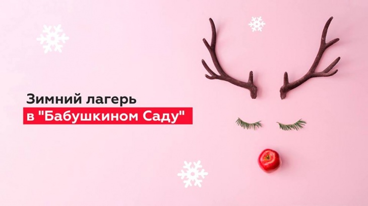 Різдвяні канікули в "Бабусиному Саду" Різдвяні канікули в "Бабусиному Саду"