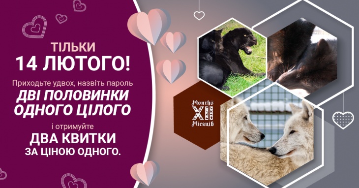 "Две половинки одного целого". Акция от Зоопарка 12 Месяцев "Две половинки одного целого". Акция от Зоопарка 12 Месяцев