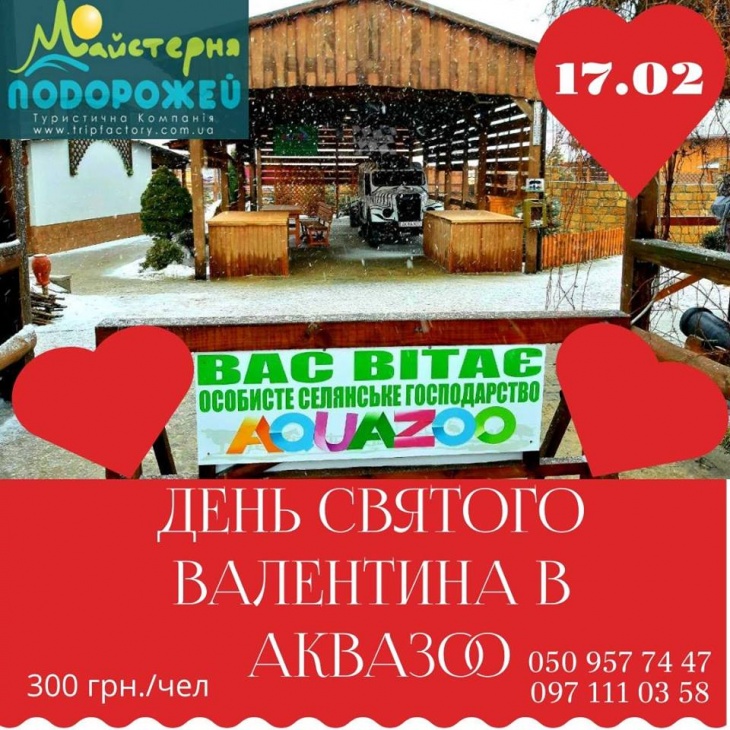 День Святого Валентина в Аквазоо День Святого Валентина в Аквазоо