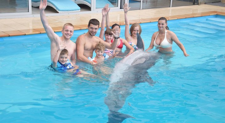 Знакомство с дельфинами в "Немо" Знакомство с дельфинами в "Немо"
