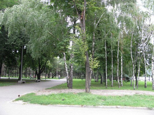 Парк им. Писаржевского Парк им. Писаржевского